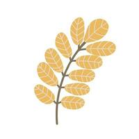 gemakkelijk herfst takje met bladeren. hand- getrokken element voor herfst decoratief ontwerp, halloween uitnodiging vector