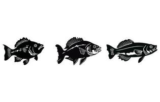 baars illustratie van zoetwater, baars vis icoon illustratie vector