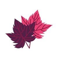 druivenplant blad natuur pictogram leaf vector
