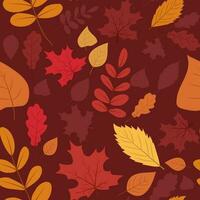 naadloos herfst bladeren patroon, perfect voor textiel en decoratie vector