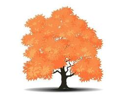 herfst groot boom. herfst droog vertrekken en natuur Afdeling fabriek vector illustratie.