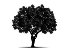 zwart Afdeling boom of naakt bomen silhouetten. hand- getrokken geïsoleerd illustraties. vector