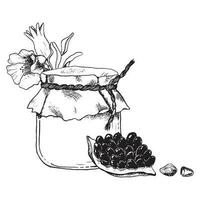 vector gelukkig Rosh hashanah groet sjabloon met honing kan, granaatappel fruit, bloemen en bladeren zwart ans wit lijn illustratie voor Joods nieuw jaar en jom Kipoer