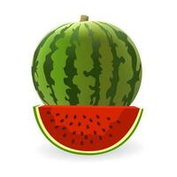 groen rijp watermeloen fruit illustratie mooi zo voor voedsel en drinken vector