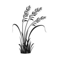 silhouet element van riet. pampa gras. hoog vegetatie voor ontwerp. eenzaam struik van rivier- gras vector