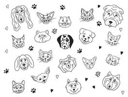 reeks van huisdier portretten.katten en honden van verschillend rassen samen.vector vector