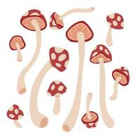 schattig champignons tekenfilm vector reeks