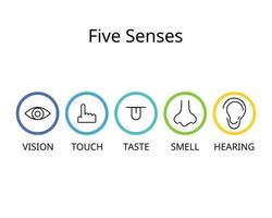 vijf zintuigen voor visie, horen, aanraken, geur, en smaak vector