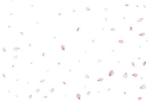 sakura vliegend bloemblaadjes, romantisch achtergrond. vector