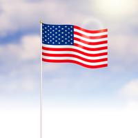 Vlag van de Verenigde Staten van Amerika op blauwe hemelachtergrond vector