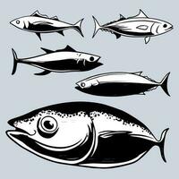tonijn vis illustratie 4 vector