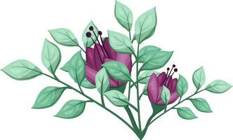 illustratie van een Purper bloem met groen bladeren Aan een wit achtergrond vector