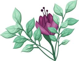 illustratie van een Purper bloem met groen bladeren Aan een wit achtergrond vector