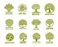 olijf- boom pictogrammen, olijf- olie etiketten, biologisch voedsel vector
