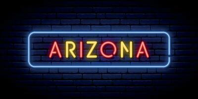 neon teken Arizona teken Aan steen muur achtergrond vector illustratie