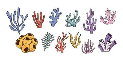 koraal riffen hand- getrokken illustratie vector