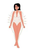 concept van liposuctie. getrokken contouren met pijlen in de omgeving van fit dame in wit lingerie, slank vrouw met perfect figuur vector
