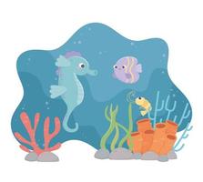 zeepaardje vis garnalen leven koraalrif onder de zee vector