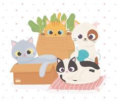 huisdier schattige katten in doos kussen en mand met wollen bal cartoon vector
