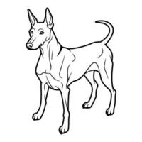 doberman hond, hand- getrokken tekenfilm karakter, hond icoon. vector