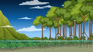 natuurtafereel met mangrovebos 's nachts in cartoon-stijl vector