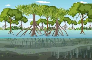 mangrove boslandschapsscène overdag vector