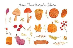 schattig esthetisch herfst element verzameling vector