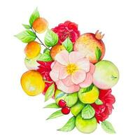 fruit boeket met appels, granaatappel, rood rozen, sinaasappelen, perziken. waterverf vector