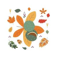 kastanje, bladeren. Hallo herfst. herfst seizoen element, icoon. vector