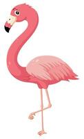 schattig tekenfilm flamingo poseren. vector illustratie