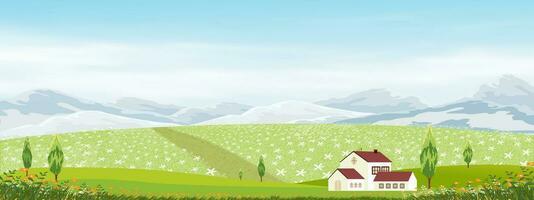 voorjaar achtergrond,mooi bloemen veld- landschap Aan berg, blauw lucht en wolken, panorama zomer landelijk natuur in met groen gras land- Aan heuvel.cartoon vector illustratie backdrop banier