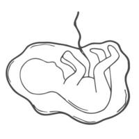 foetus tekening icoon, vector illustratie schetsen