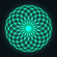 mandala ontwerp. bloem van leven. heilig geometrie. patroon van roterend cirkels. wiskundig symbool. balans en harmonie. vector illustratie.