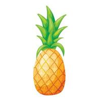 vector geïsoleerd tekenfilm illustratie van tropisch ananas fruit met toppen.