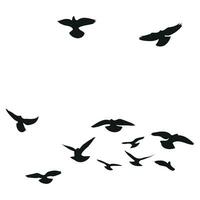silhouet schetsen van een kudde van vliegend vogels, vlucht in verschillend posities. zweven, stijgende, landen, vliegen, fladderen vector