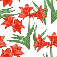 vector naadloos amaryllis bloemen hand getekend patroon. hippeastrum bloem achtergrond voor uw ontwerp projecten mode textiel, behang, plakboek en enz.