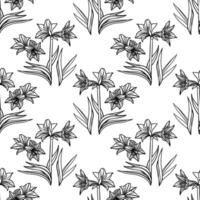 vector naadloos amaryllis bloemen hand getekend patroon. hippeastrum bloem achtergrond voor uw ontwerp projecten mode textiel, behang, plakboek en enz.