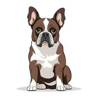 Frans bulldog geïsoleerd Aan wit achtergrond. vlak vector illustratie