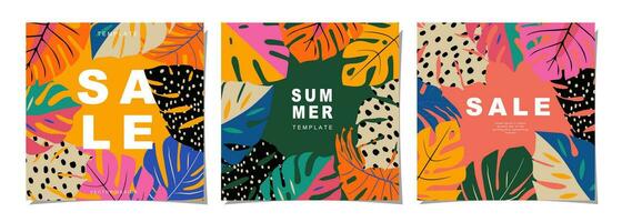 zomer sjabloon reeks voor poster, kaart, omslag, label, banier in modern minimalistische stijl en gemakkelijk zomer ontwerp Sjablonen met tropisch bladeren, bloem, en planten. vector