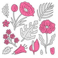 tekening planten verzameling vector
