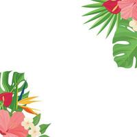 zomer grens ontwerp met tropisch bladeren decoratie vector