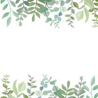 blad grens met wild bladeren en eucalyptus bladeren vector