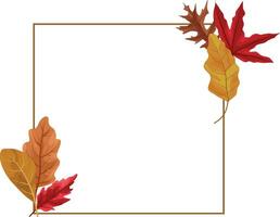 herfst kader met droog esdoorn- blad decoratie vector