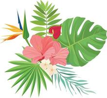 zomer ontwerp met tropisch bladeren decoratie vector