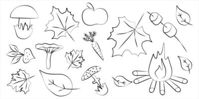 reeks van schets tekening herfst elementen. zwart stroomkring vector illustratie. icoon seizoensgebonden verzameling voor ontwerp. bladeren, val, appel, oogst, paddestoel. contour clip art voor kaart, vakantie decoratie