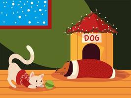 kerst schattige kat en hond met trui in huis vector