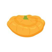 courgette herfst groente, oogst squash Aan een wit achtergrond. vector illustratie