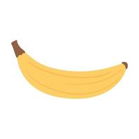banaan fruit smakelijk heerlijk eten, pictogram plat op witte achtergrond vector