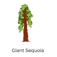 gigantische sequoiaboom vector
