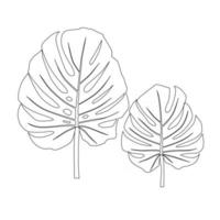 monstera palmbladeren trendy silhouet. vector illustratie